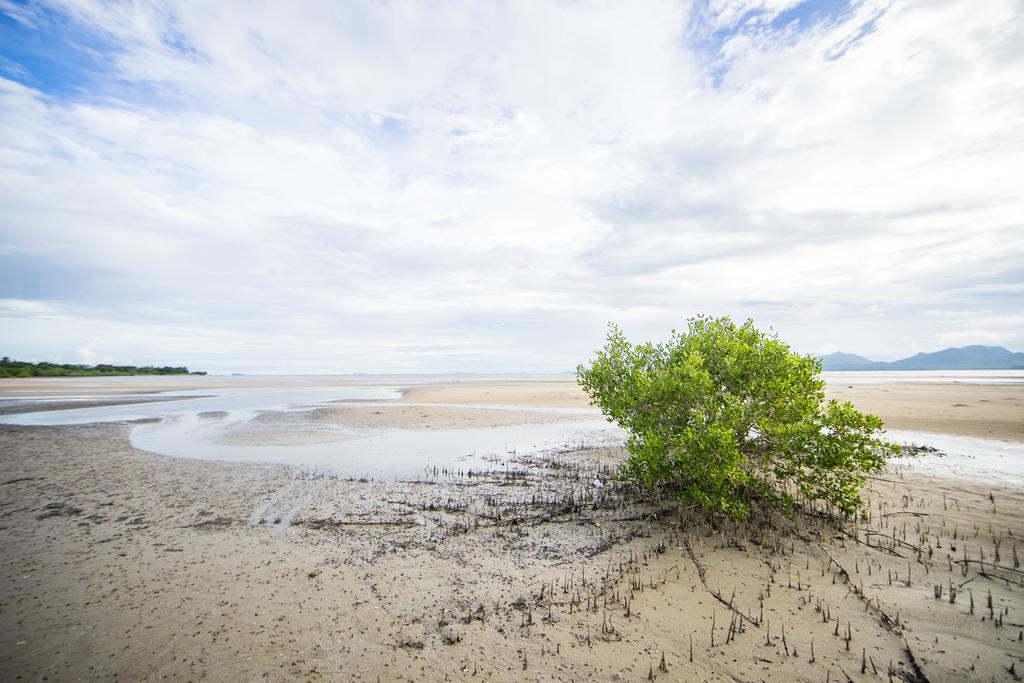 Pawarisa Resort Pathio Экстерьер фото